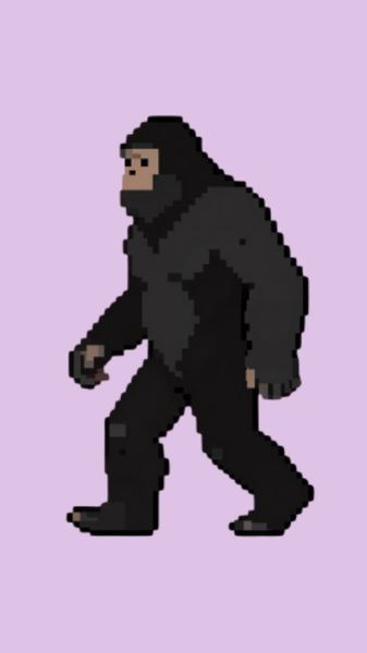Sasquatch Hunt