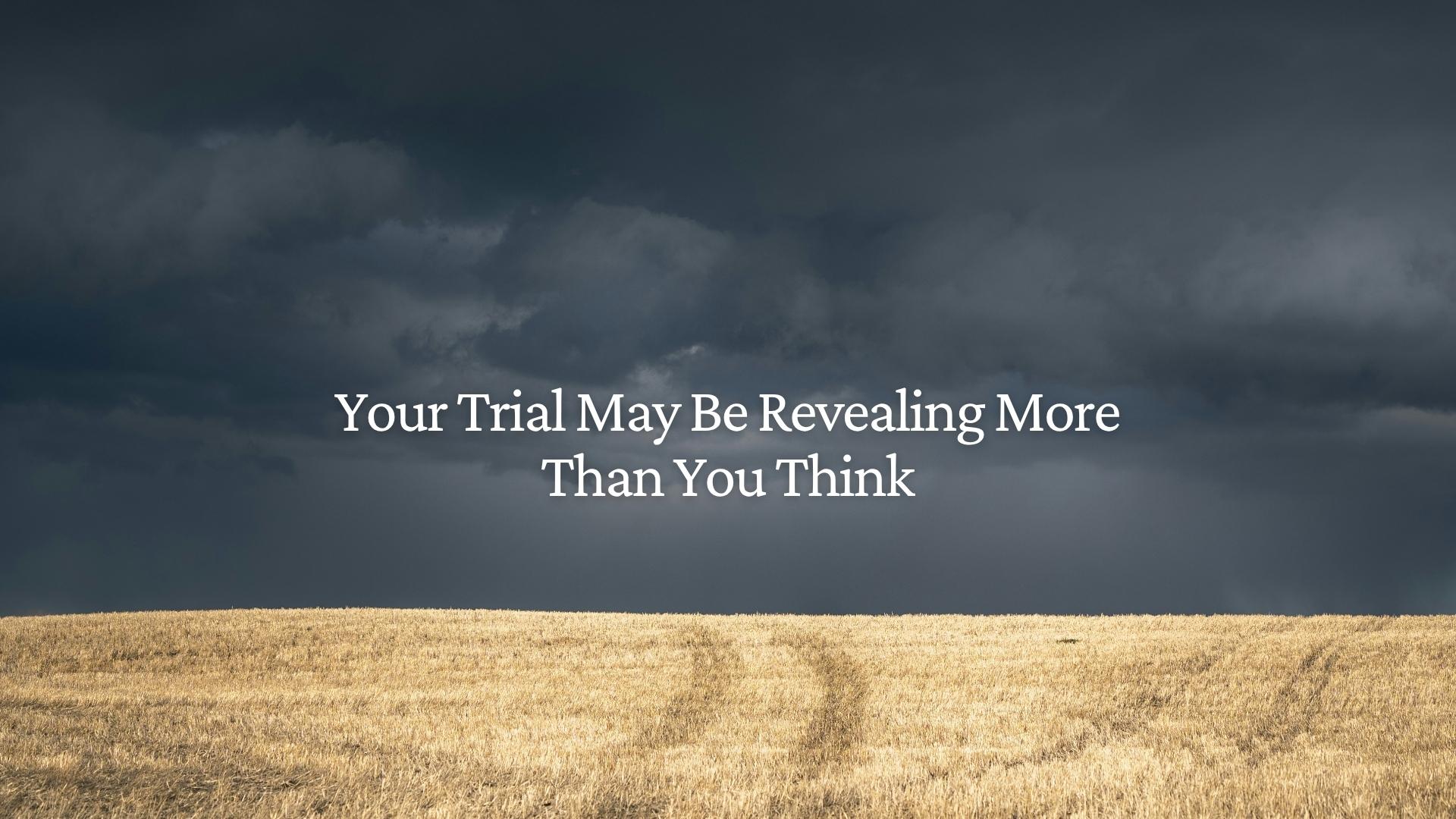 Your Trial May Be Revealing More Than You Think